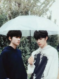 文轩：春意知几许