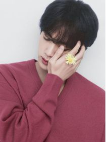 BTS：美第奇小姐追星实录