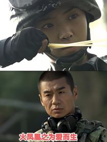 火凤凰之为爱而生