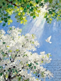 临江贤子的短文合集