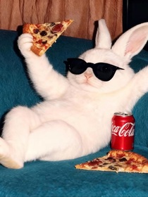 天灾降临，我带蓝星冲冲冲