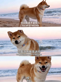 顶流：虽然缺德但爽