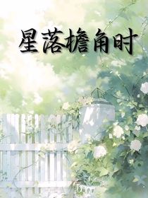 星落檐角时