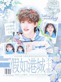 假如港城不下雪