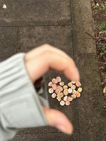 针锋相对的秘密