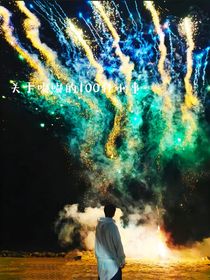 关于嘟嘟的100件小事