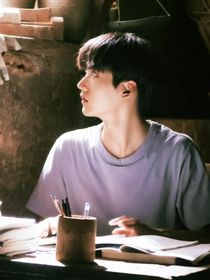 综影视：美男皆入怀