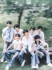 all鑫：穿书助攻CP