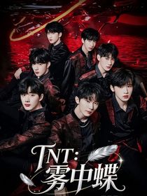 TNT：雾中蝶