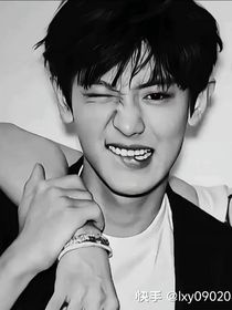 在他成为顶流之前