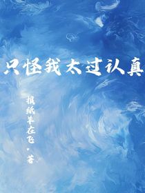 只恨我太过认真