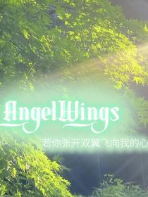 AngelWings……