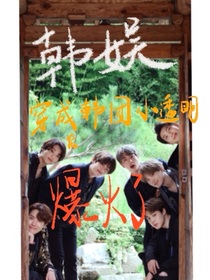 韩娱：穿成韩团小透明后爆火了