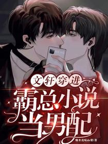 文轩：穿进霸总小说当男配