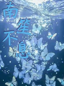 南笙不息