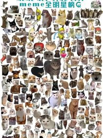 猫me：电脑战争