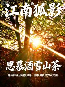 江南狐影：龙脉诡局一