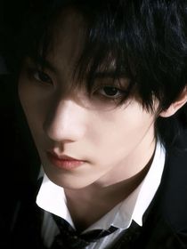 TNT：在贵族学院当铲屎官