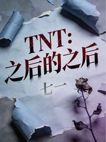 TNT：之后的之后