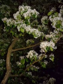 一群杂七杂八的东西