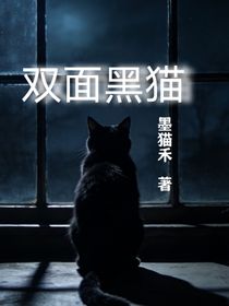 双面黑猫
