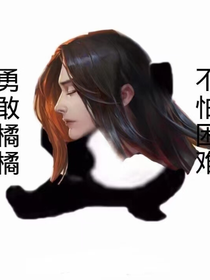 不知道该叫啥的书