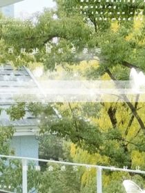 秋日在收集语录哇