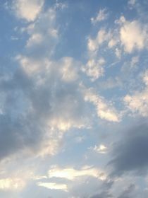 斗龙：我们离去