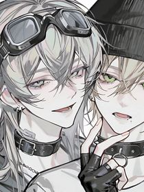 疯癫灵王爱上腹黑夜王