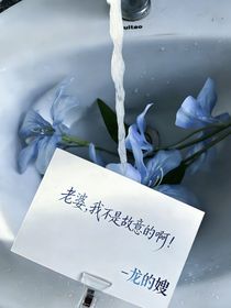 老婆，我不是故意的啊！