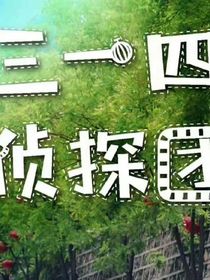三一四侦探团之寻宝历险记