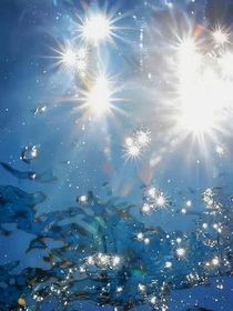 七班，该醒了！！