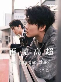 双高胎：再见高超