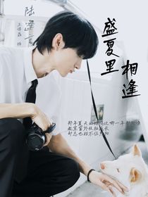 在盛夏里相逢