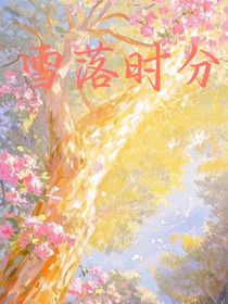 雪落时分