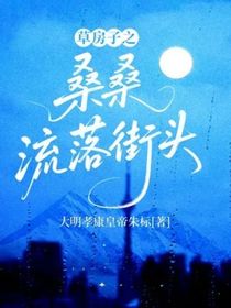 草房子之桑桑流落街头