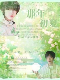 那年初夏（奇文）