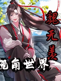 魏无羡视角世界