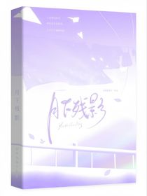 斗一：月下残影