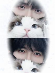 翔霖：我爱上了一个机器人