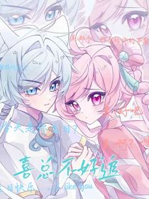 喜美—喜总不好追