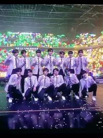 左邓毛哥之间的牵引