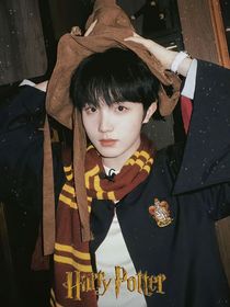 哈利波特世界的双生访客