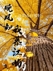 晚风知我慕江屿