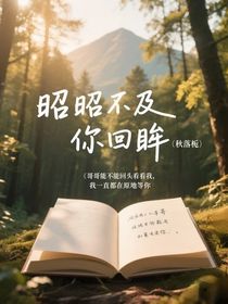 昭昭不及你回眸