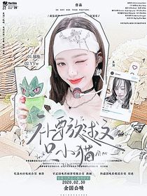 布讲栗猫封面铺