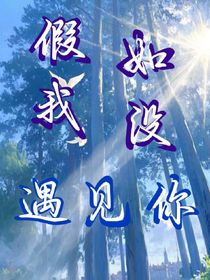假如我没遇见你
