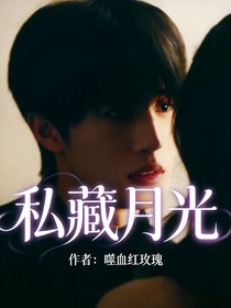 私藏月光