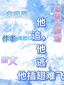 唐晓翼：他追，他逃，他插翅难飞