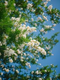 TNT：要当就当路人甲